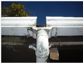 leaking services